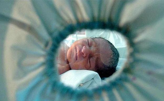 evitar bronquitis en bebes evitar bronquitis en bebes
